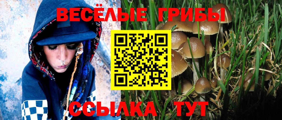 Псилоцибиновые грибы прущие грибы  Вход с VPN  Аша  Галлюциногенные грибы прущие грибы 