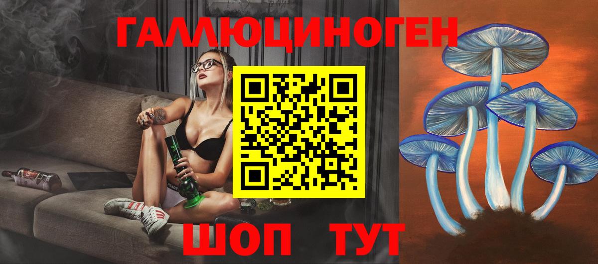 Псилоцибиновые грибы мицелий Аша