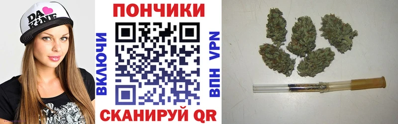 Шишки марихуана индика  что такое   Аша 